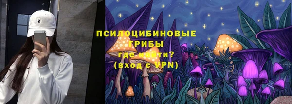 кокс Инсар