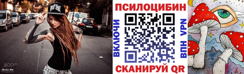 Псилоцибиновые грибы Psilocybe  Россошь 