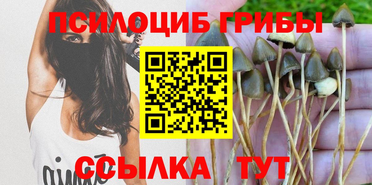 Псилоцибиновые грибы Psilocybine cubensis  Вход с VPN  дарнет шоп  Россошь  Галлюциногенные грибы Psilocybe 