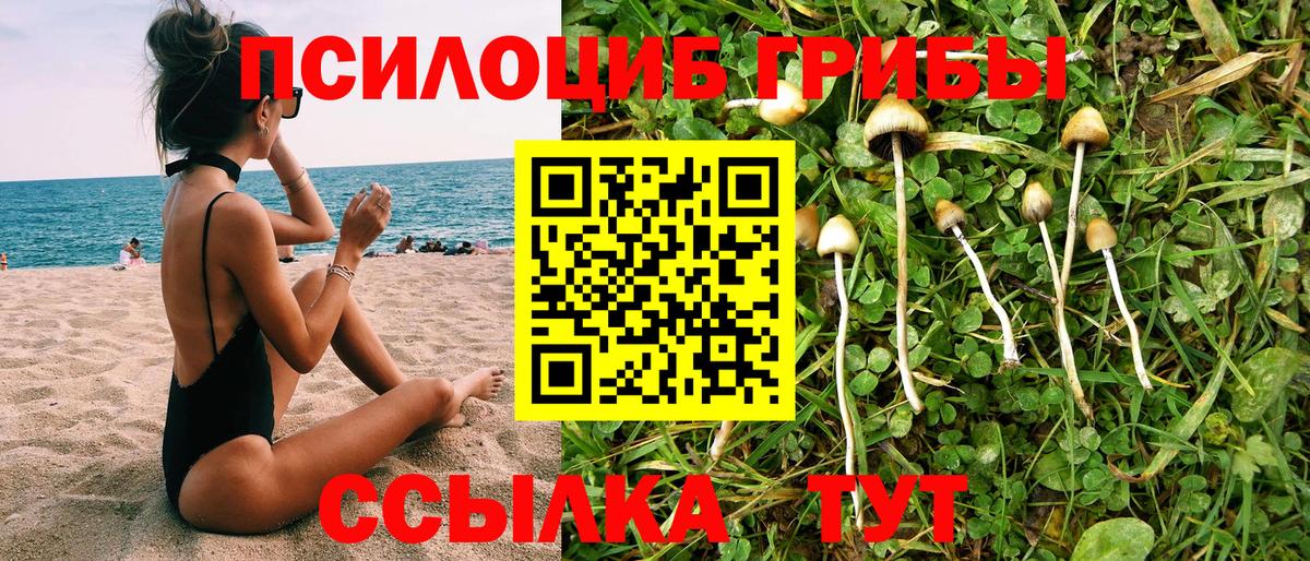 Псилоцибиновые грибы мицелий Россошь
